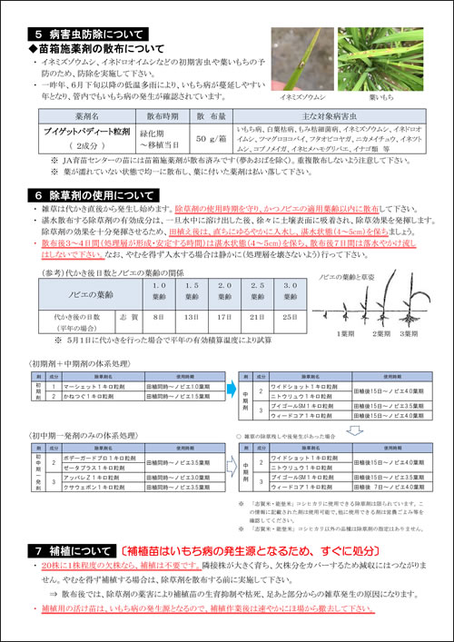 水稲管理情報　田植え編２ページ目