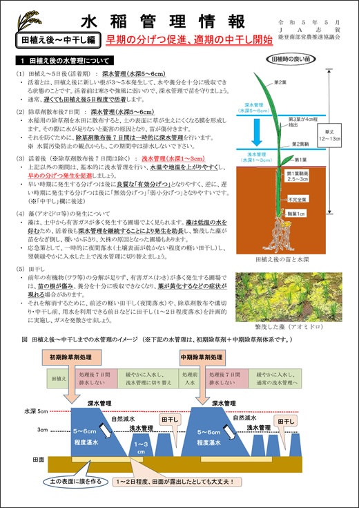 水稲管理情報　田植え編１ページ目