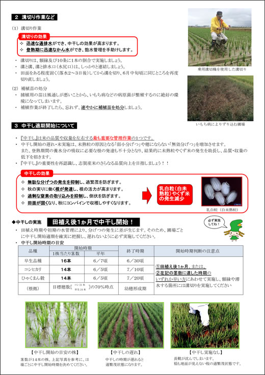 水稲管理情報　田植え編２ページ目