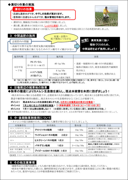 水稲管理情報　田植え編２ページ目