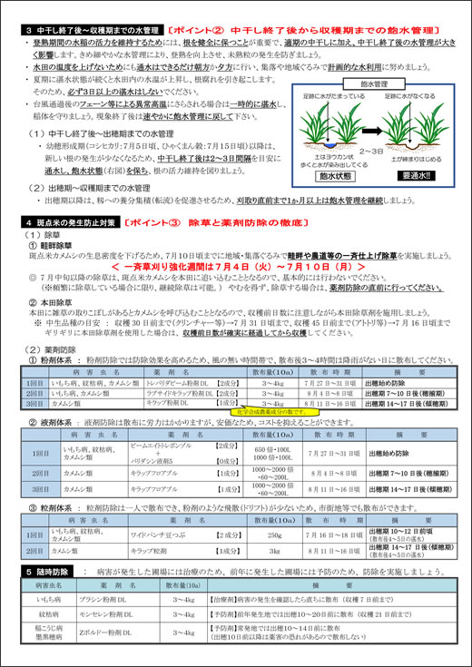 水稲管理情報　田植え編１ページ目