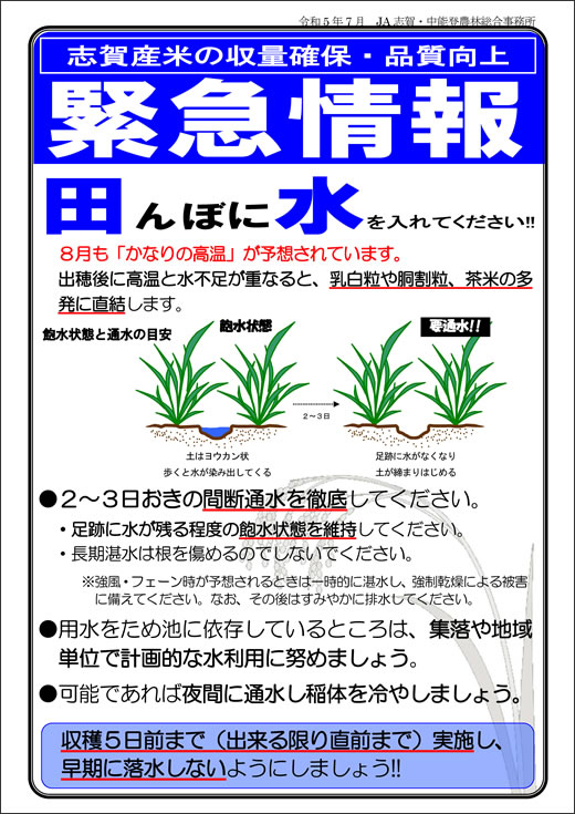 水稲管理情報　田植え編１ページ目